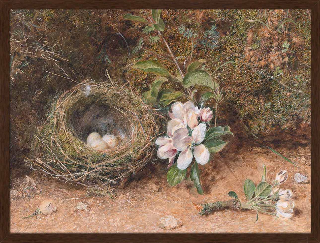 Birds Nest with Apple Blossoms | Paper