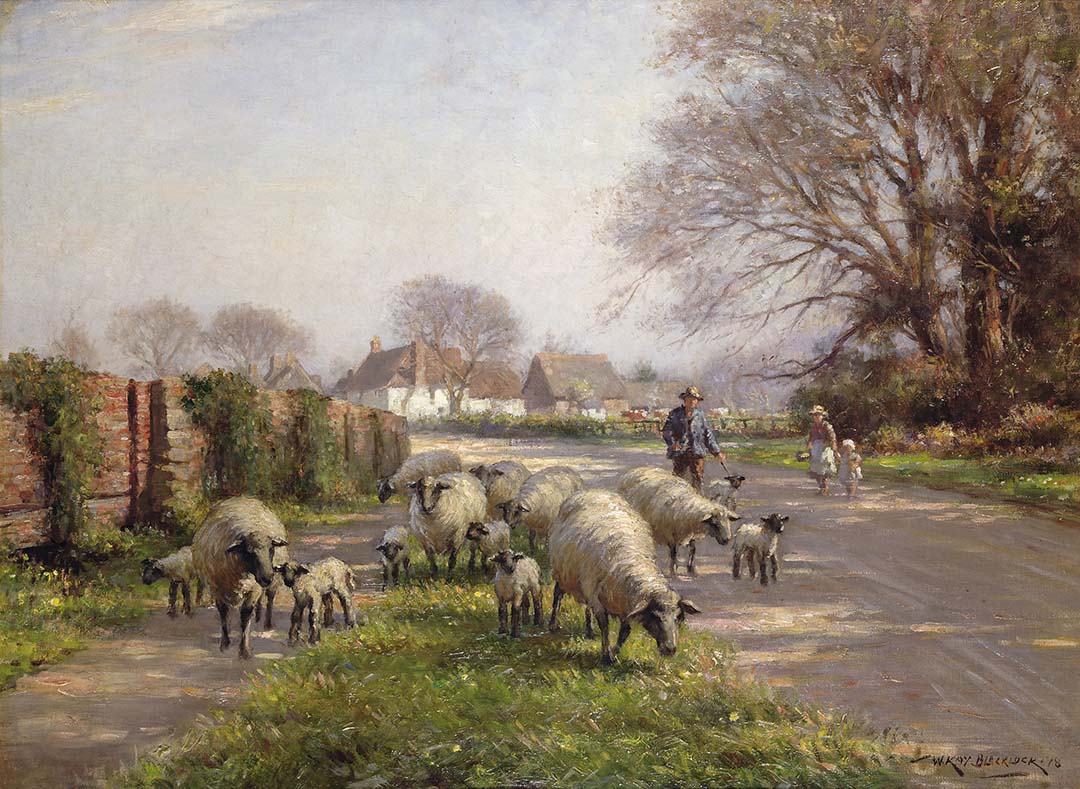 Country Lane with Sheep | Paper