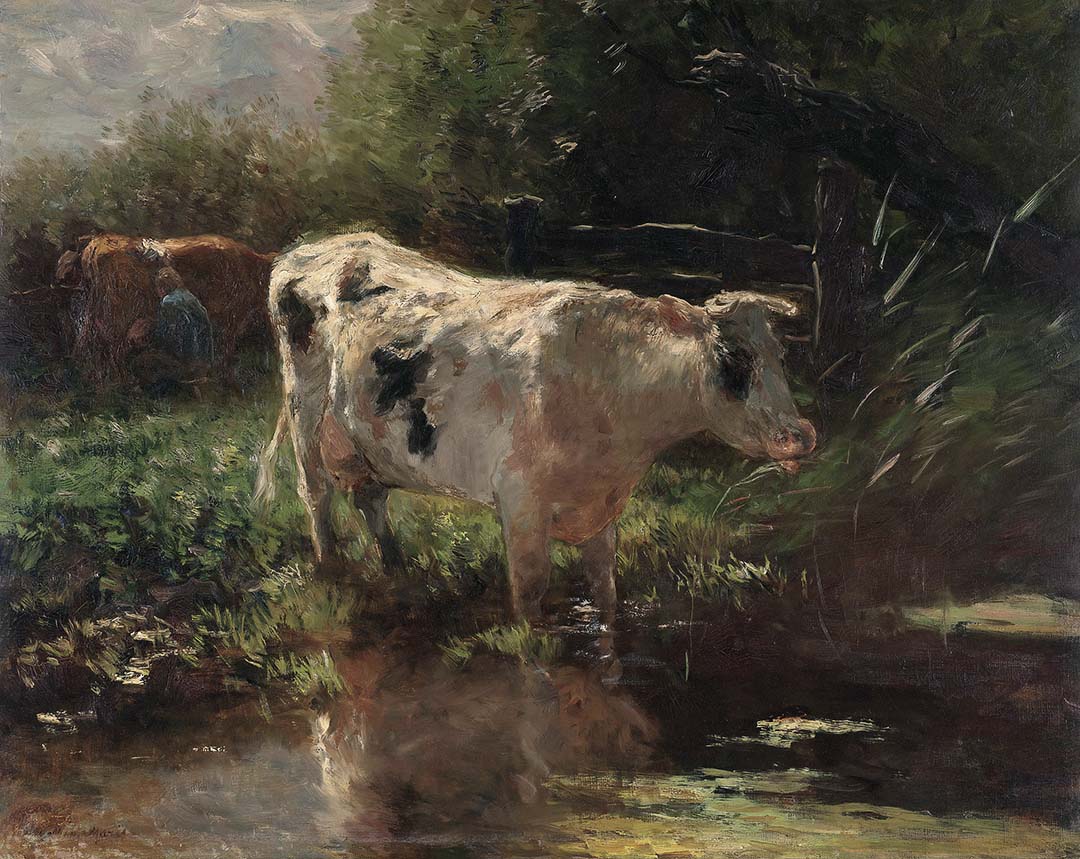 Cow on the Ditch Side | Paper
