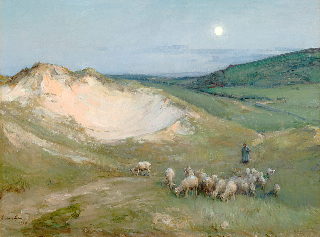Evening on the Dunes | Paper