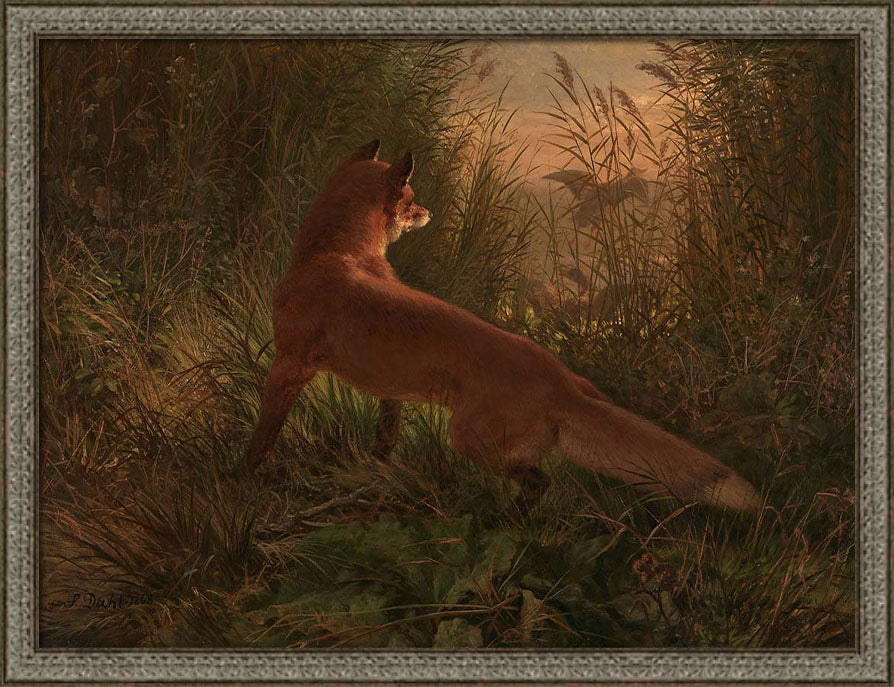 A Fox | Paper