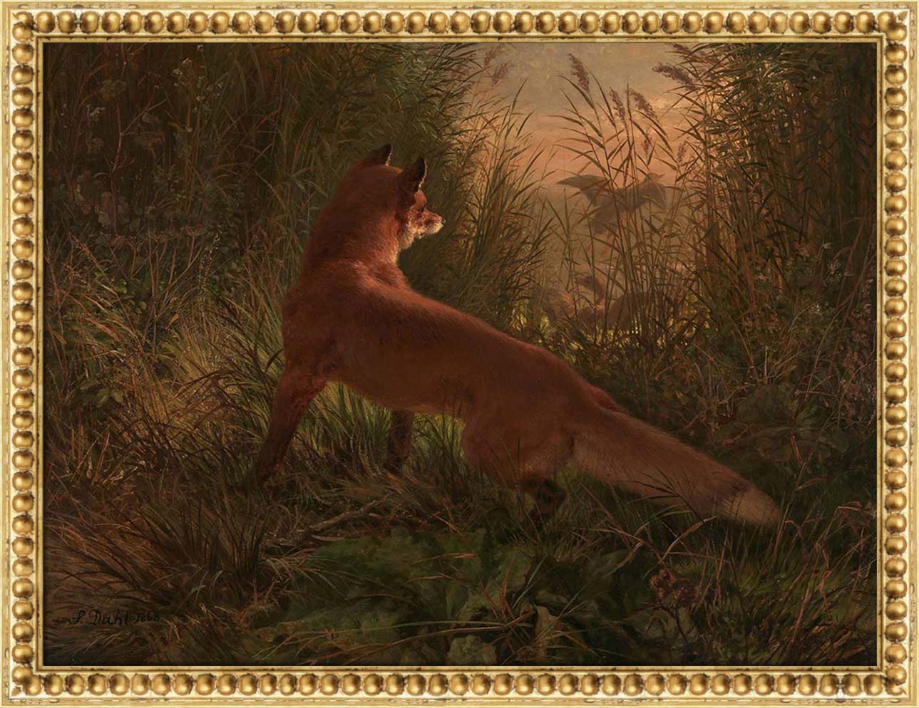 A Fox | Paper