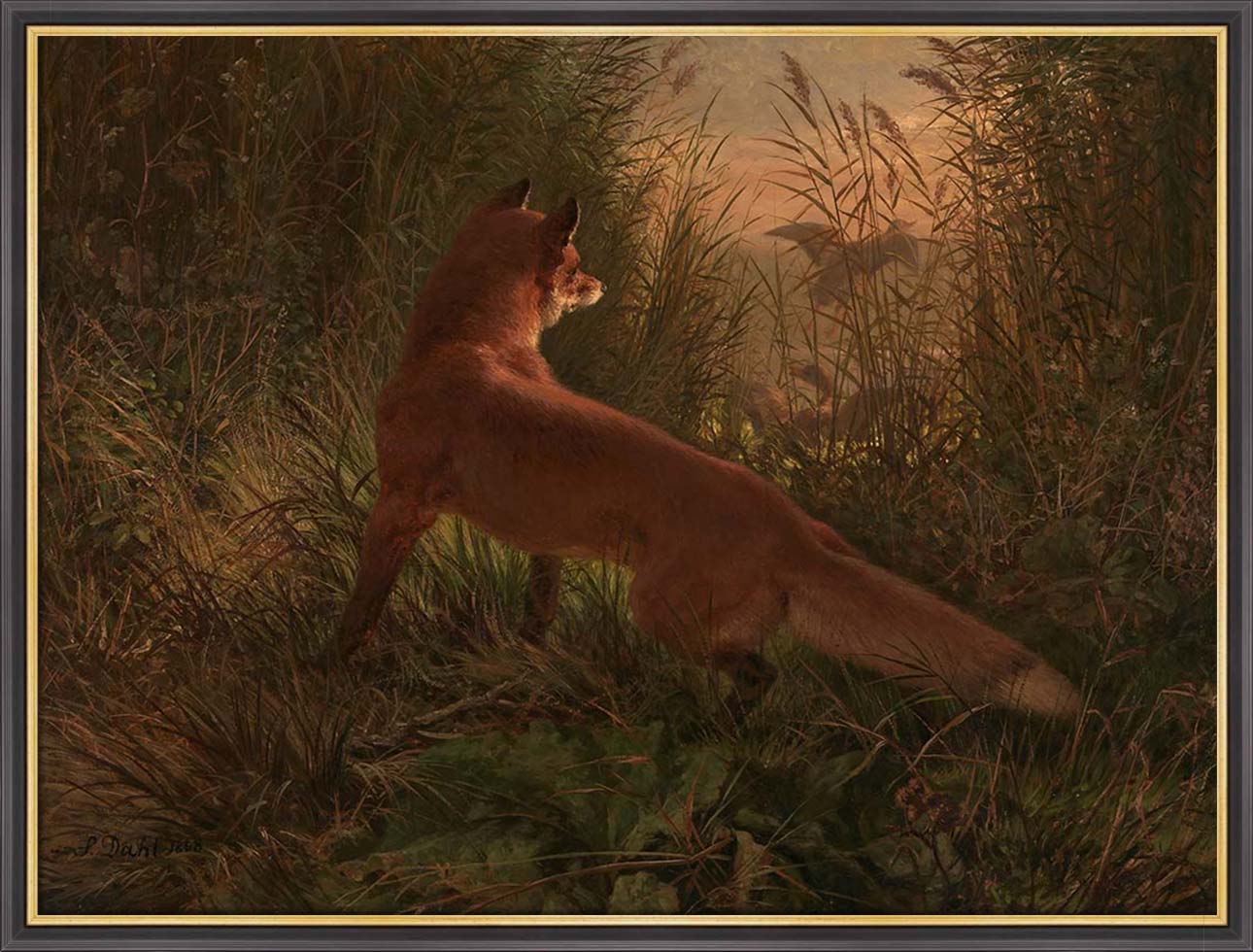 A Fox | Paper