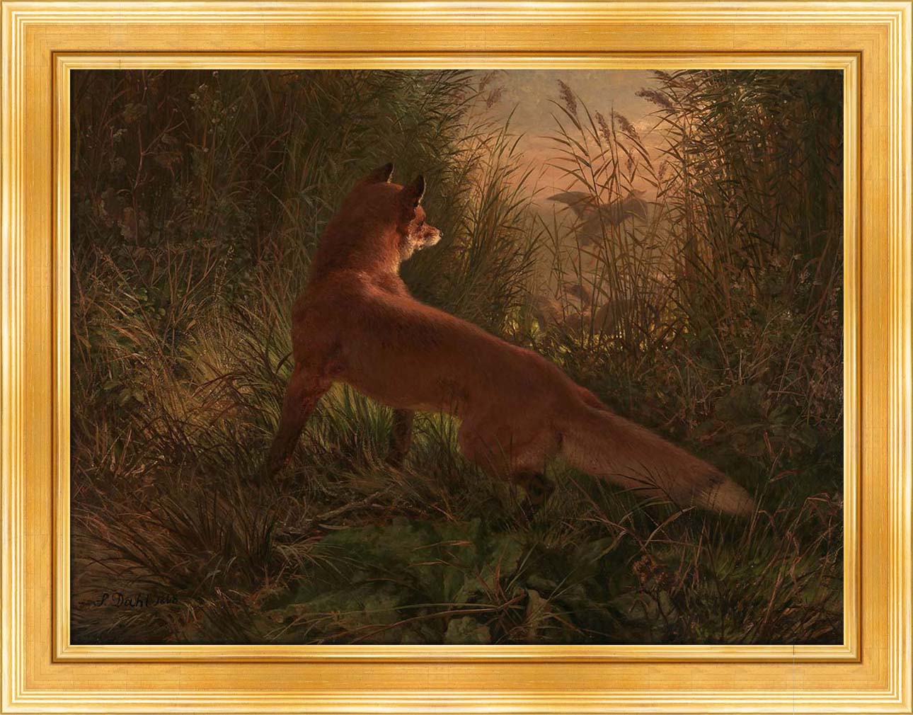 A Fox | Paper