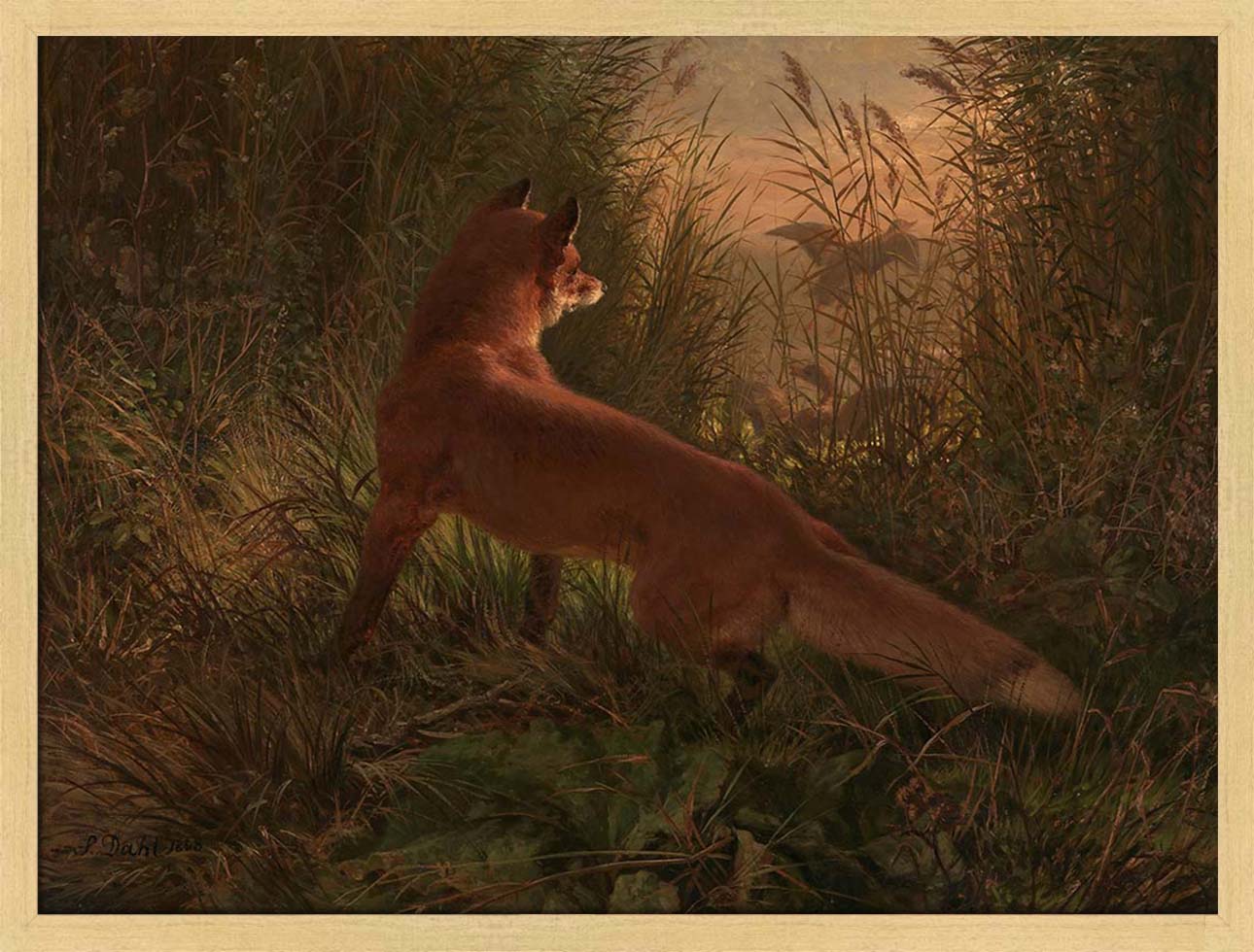 A Fox | Paper