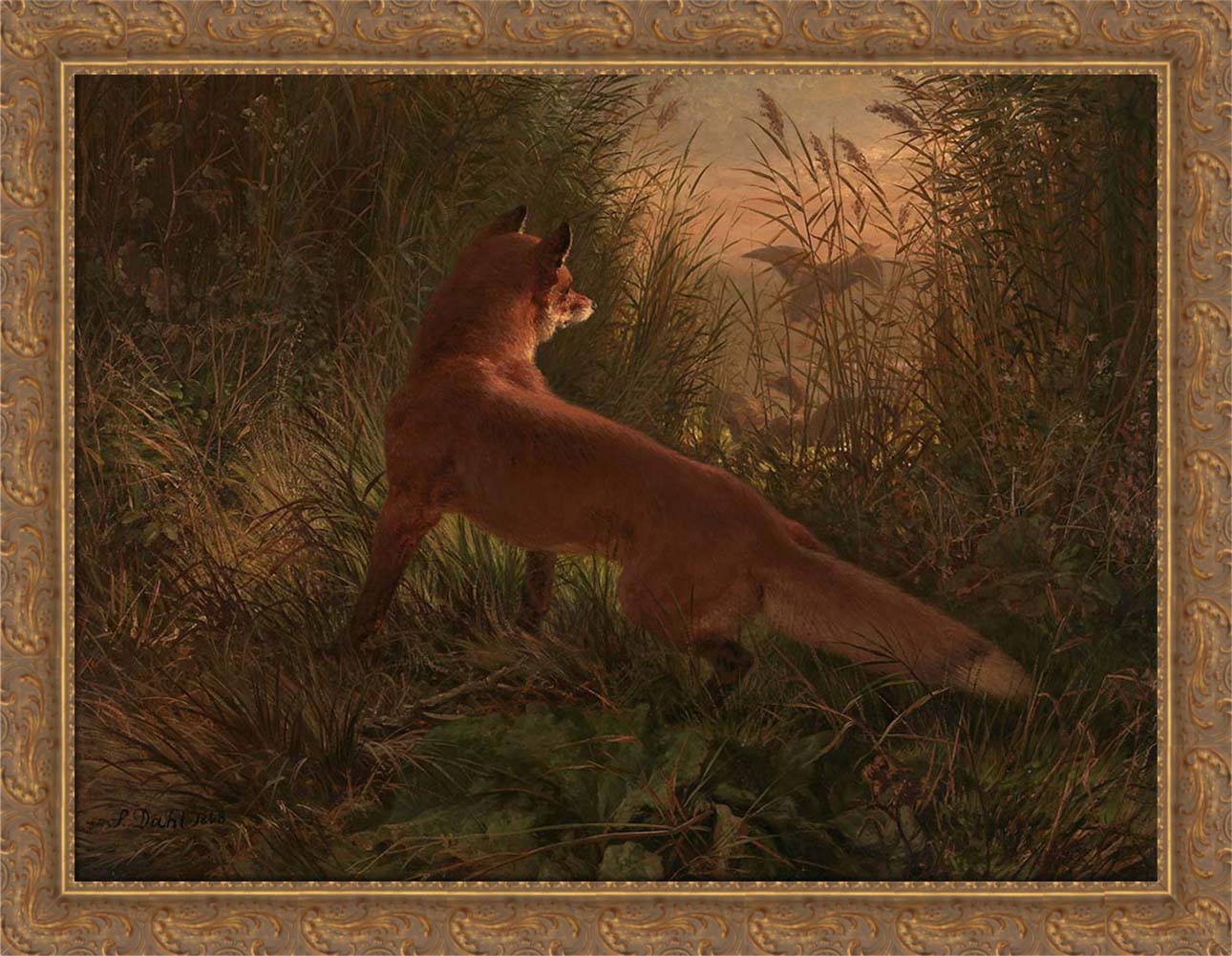 A Fox | Paper