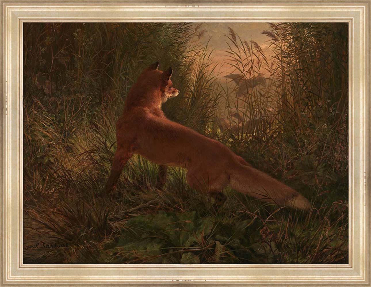 A Fox | Paper