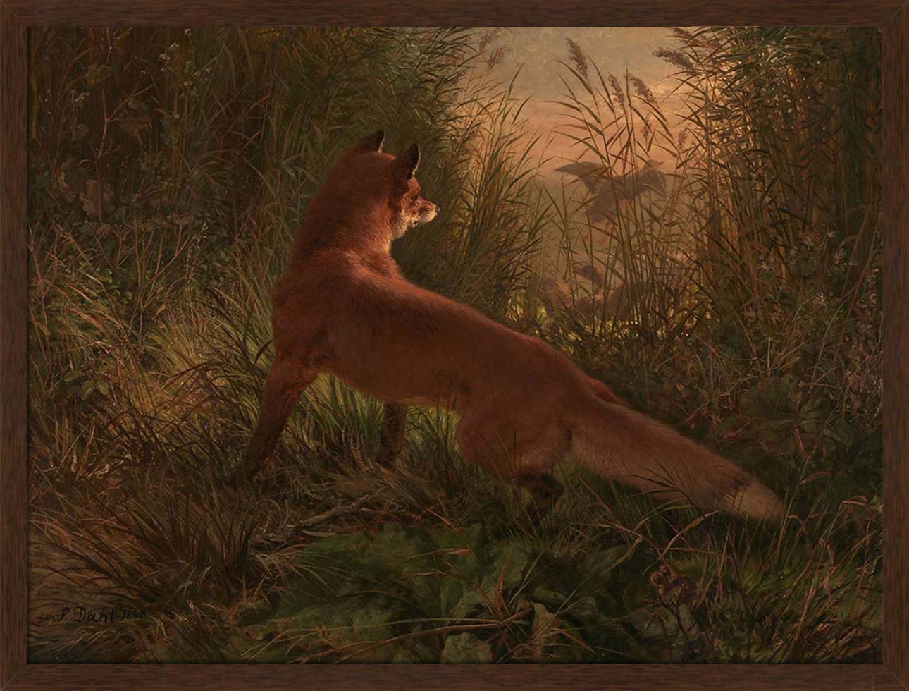 A Fox | Paper