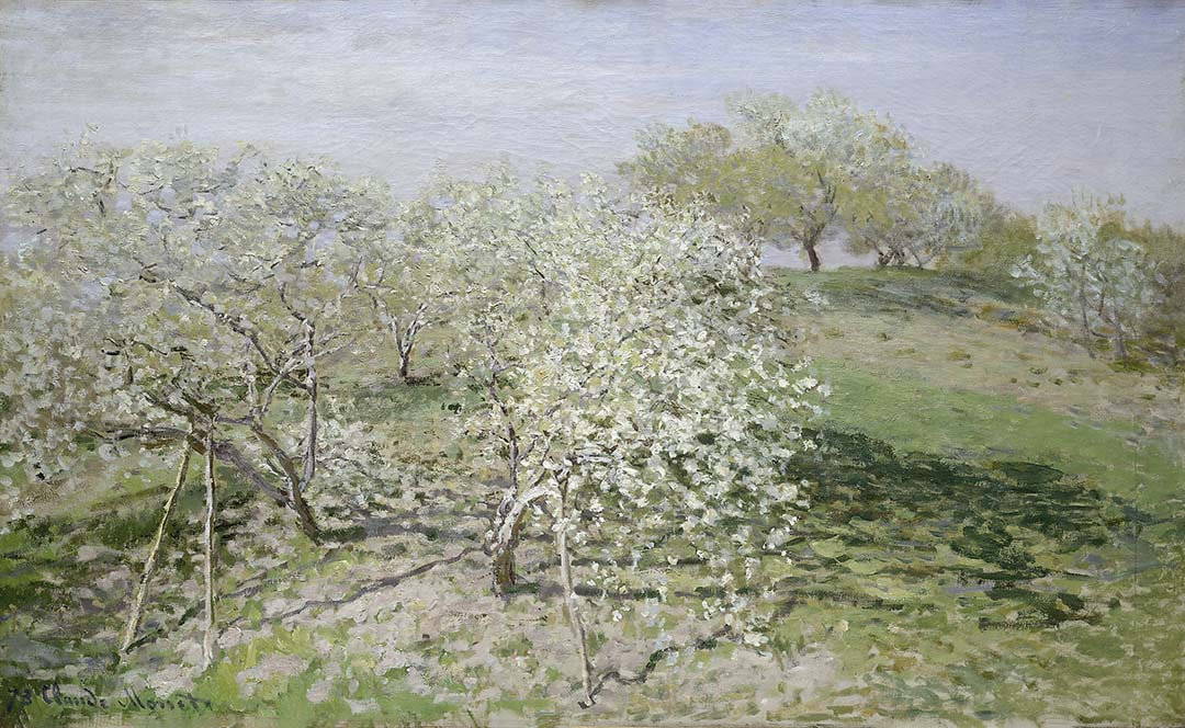 Fruit Trees in Bloom | Paper