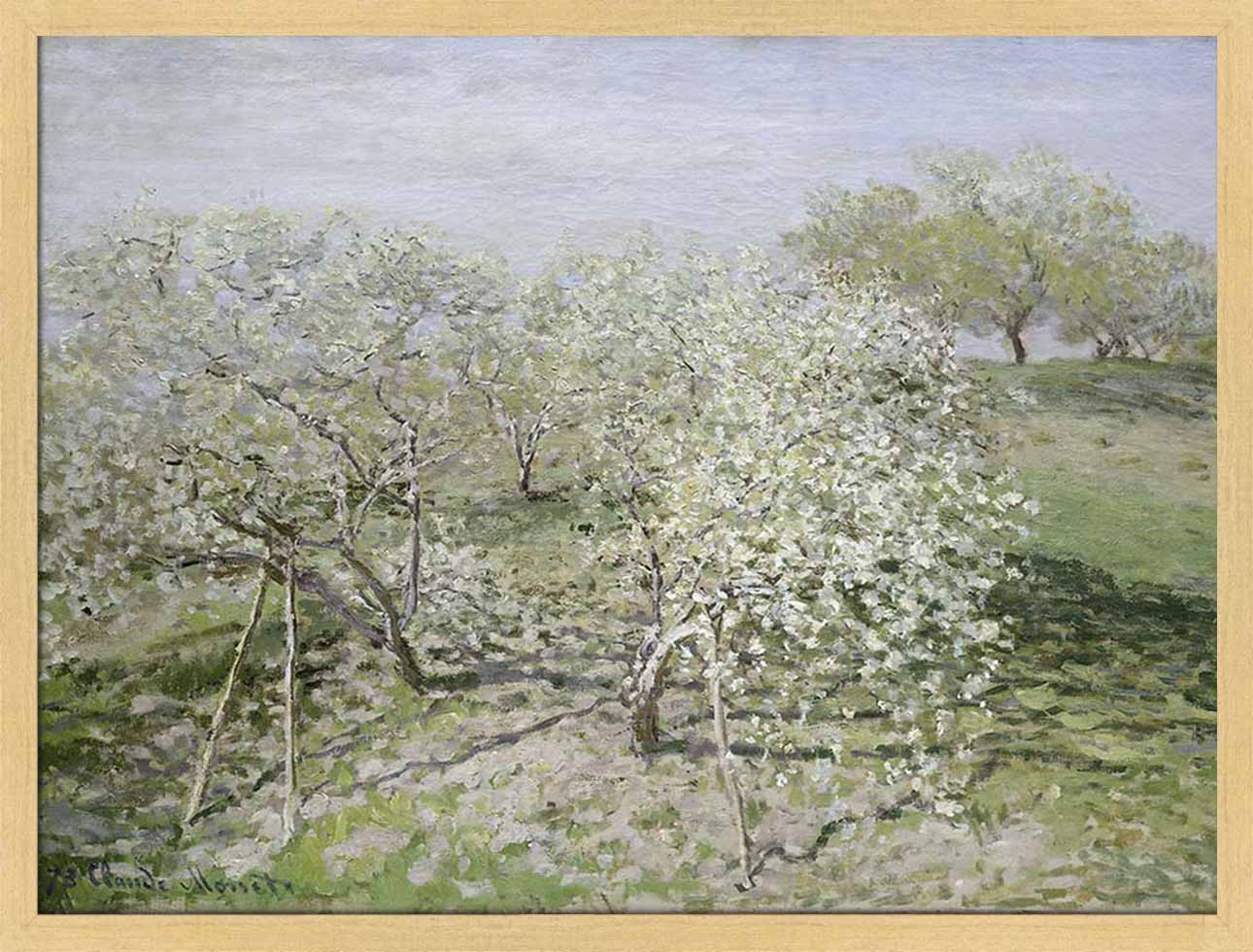 Fruit Trees in Bloom | Paper