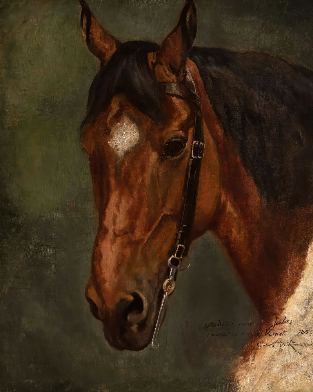 Horse's Head | Paper