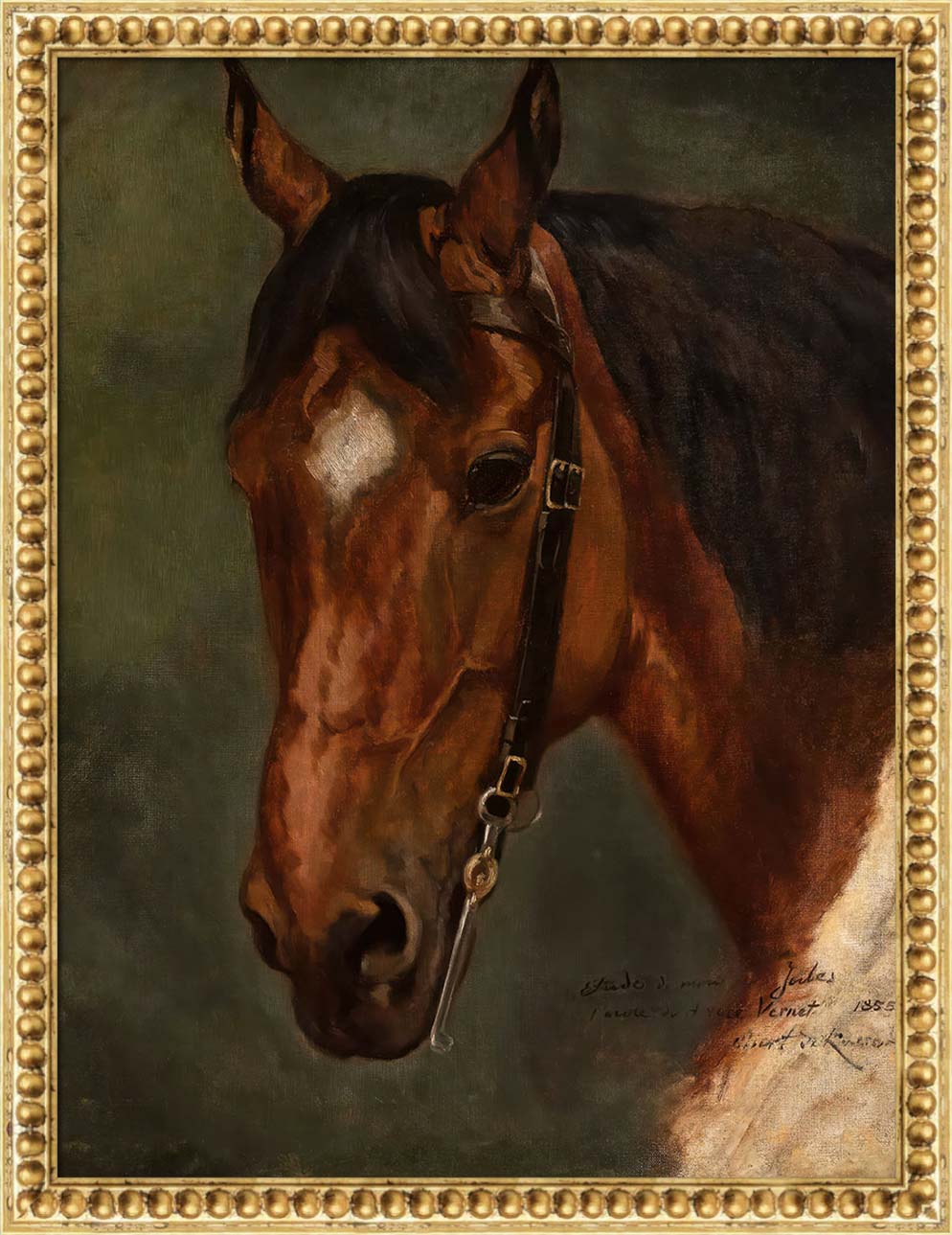 Horse's Head | Paper