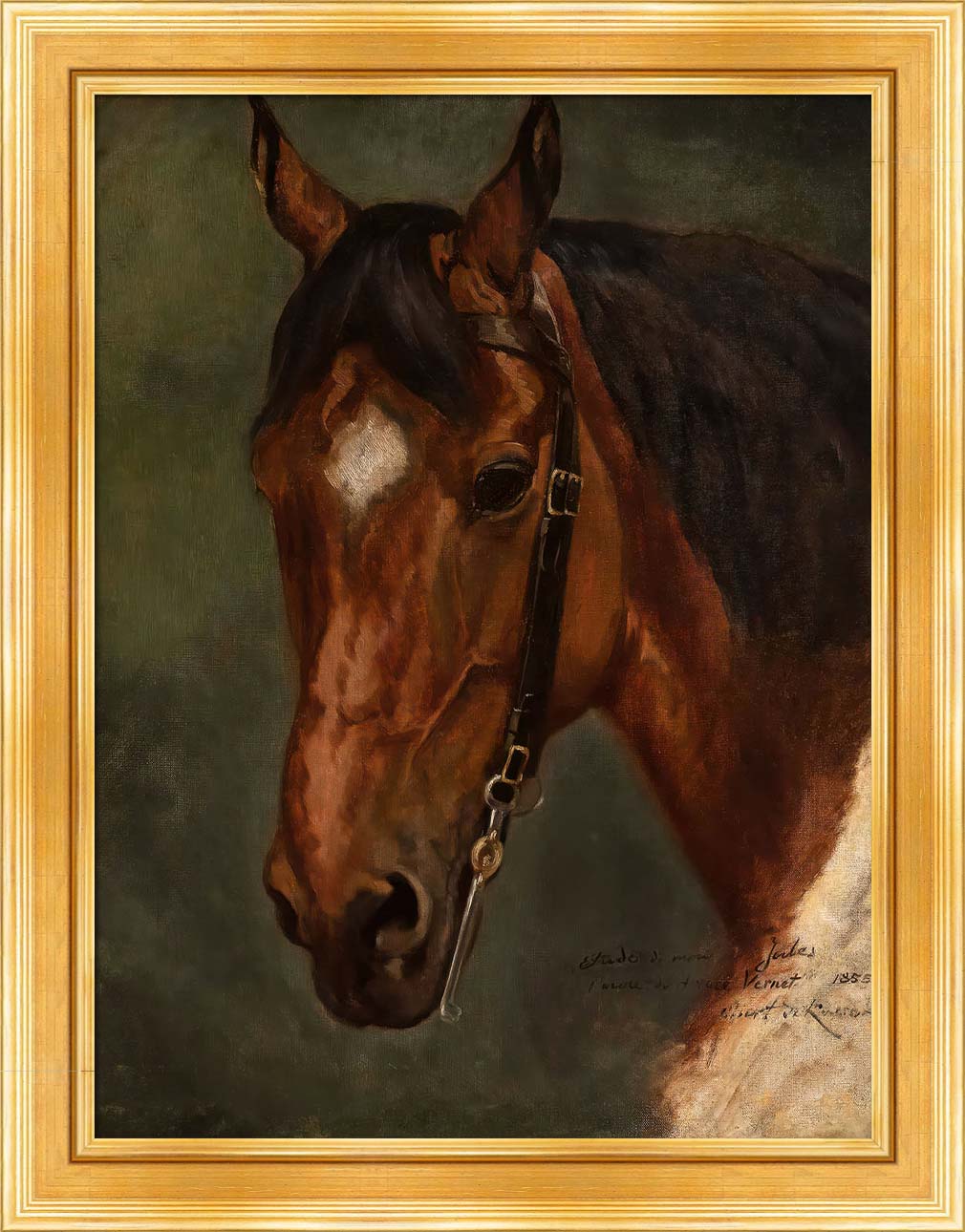 Horse's Head | Paper