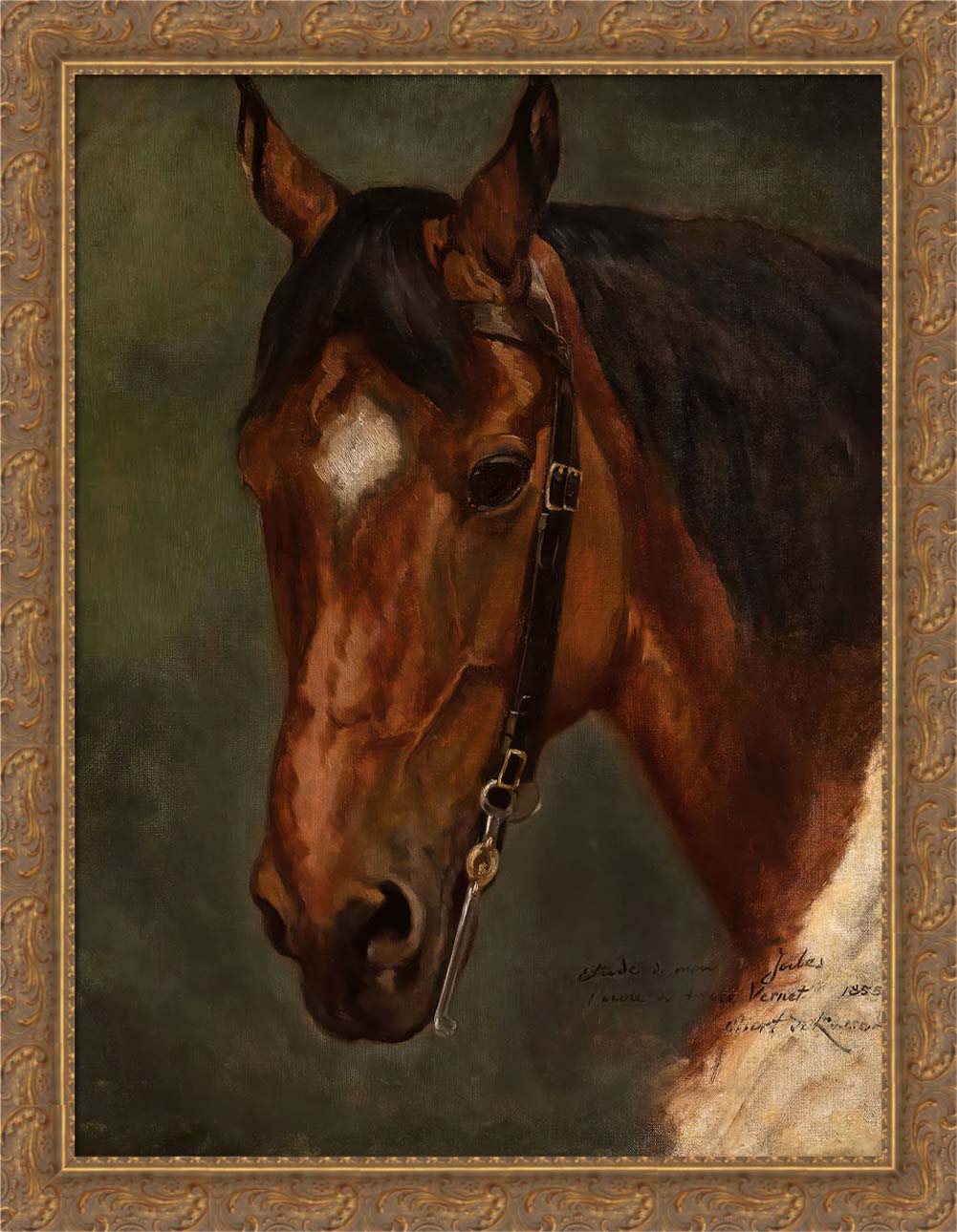 Horse's Head | Paper