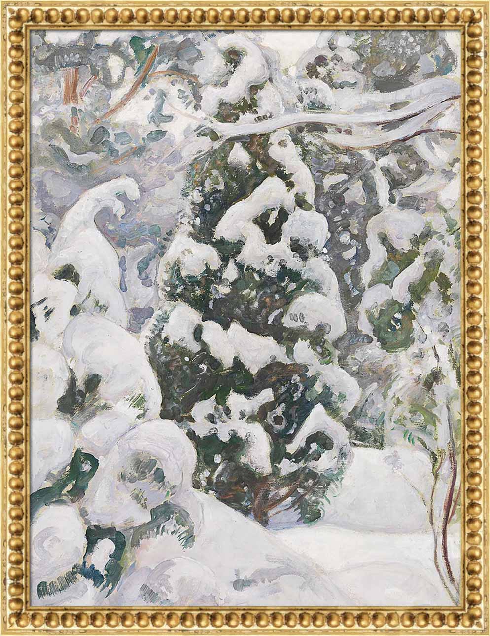 Juniper Tree in Snow | Paper