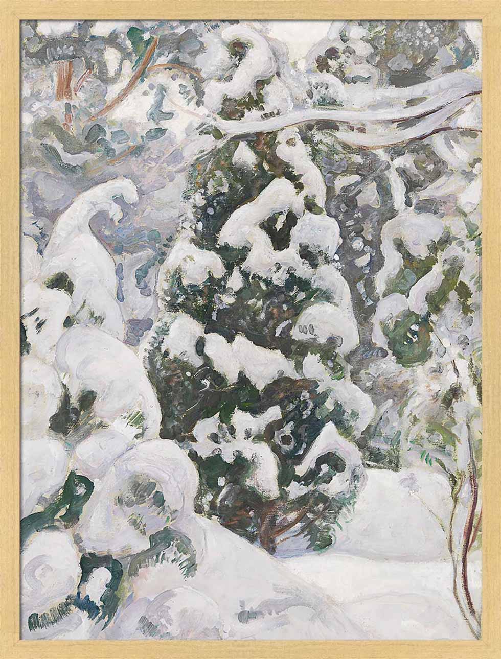 Juniper Tree in Snow | Paper