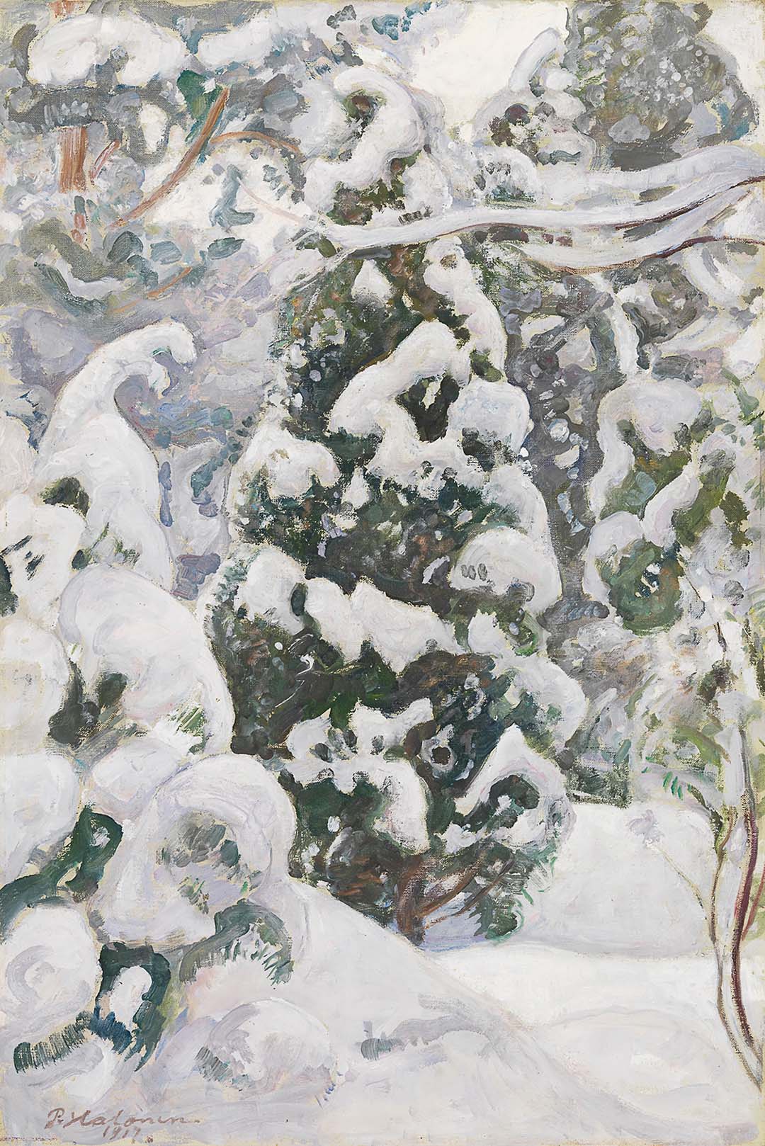 Juniper Tree in Snow | Paper