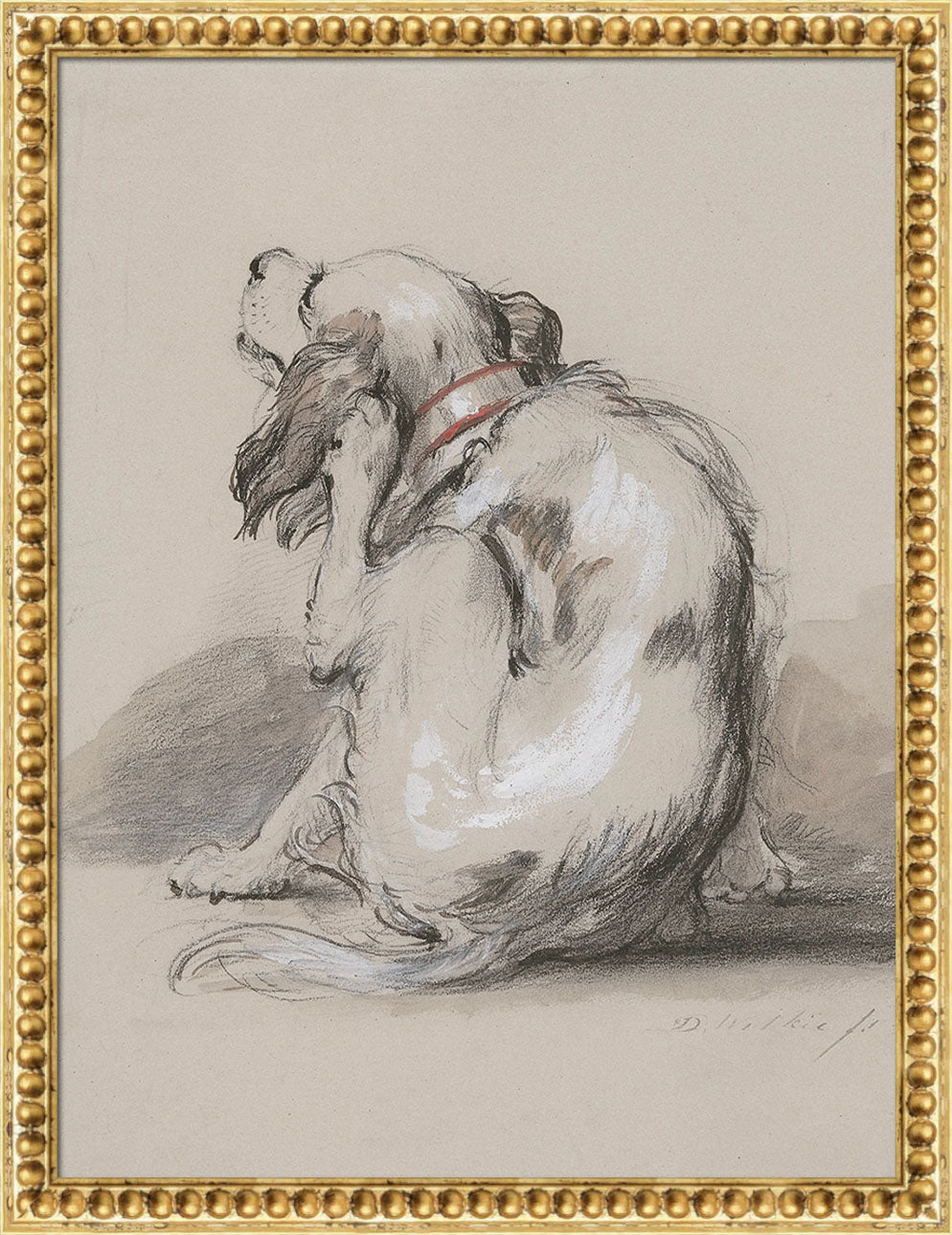 King Charles Spaniel | Paper