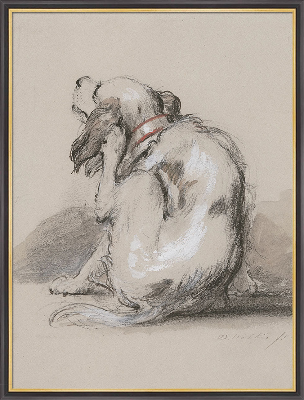 King Charles Spaniel | Paper