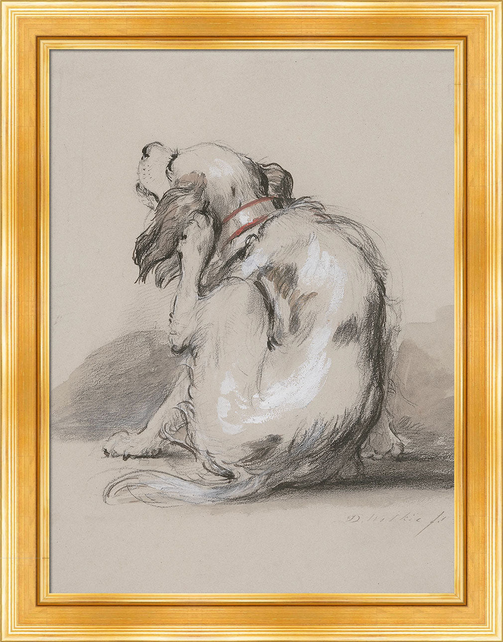 King Charles Spaniel | Paper