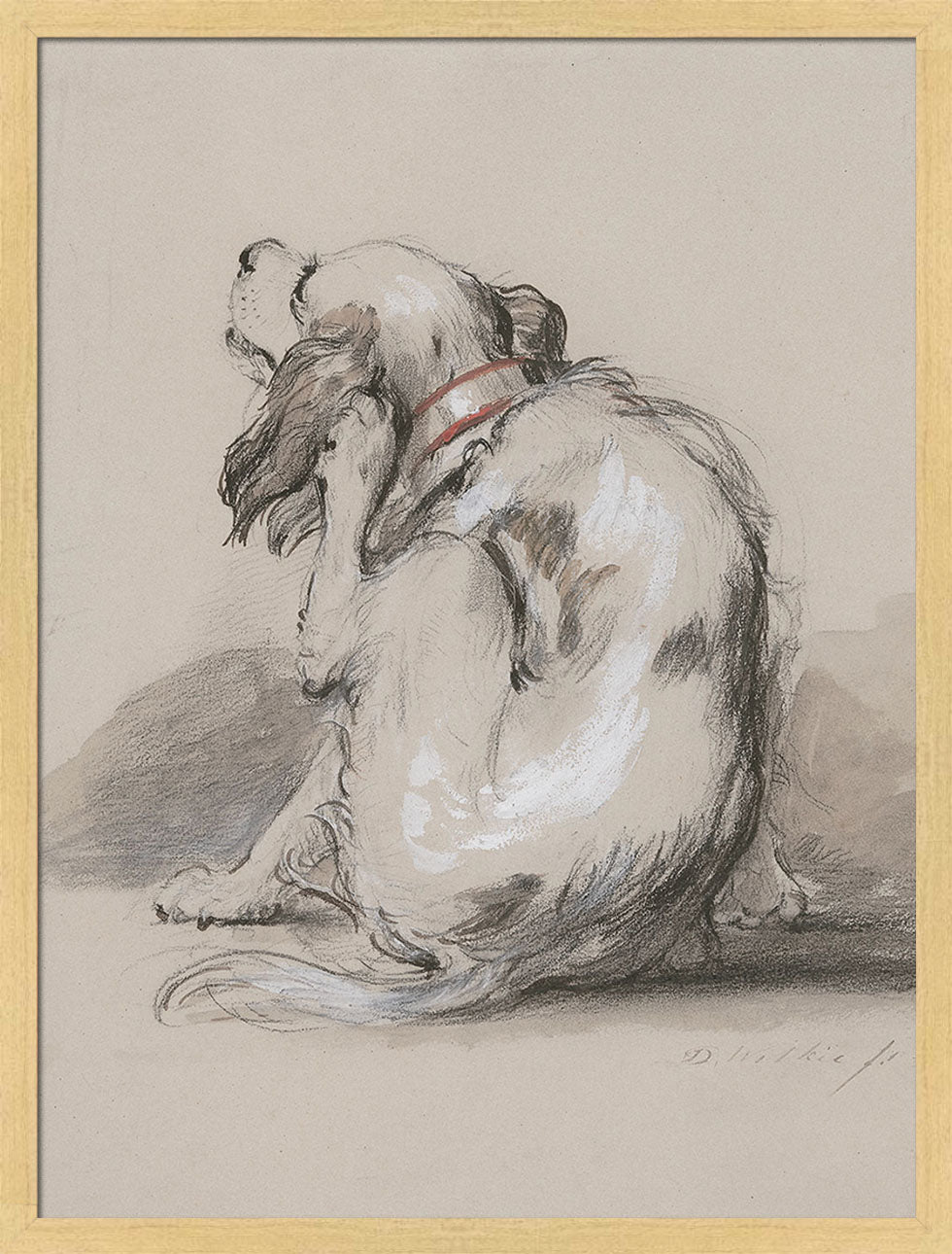 King Charles Spaniel | Paper