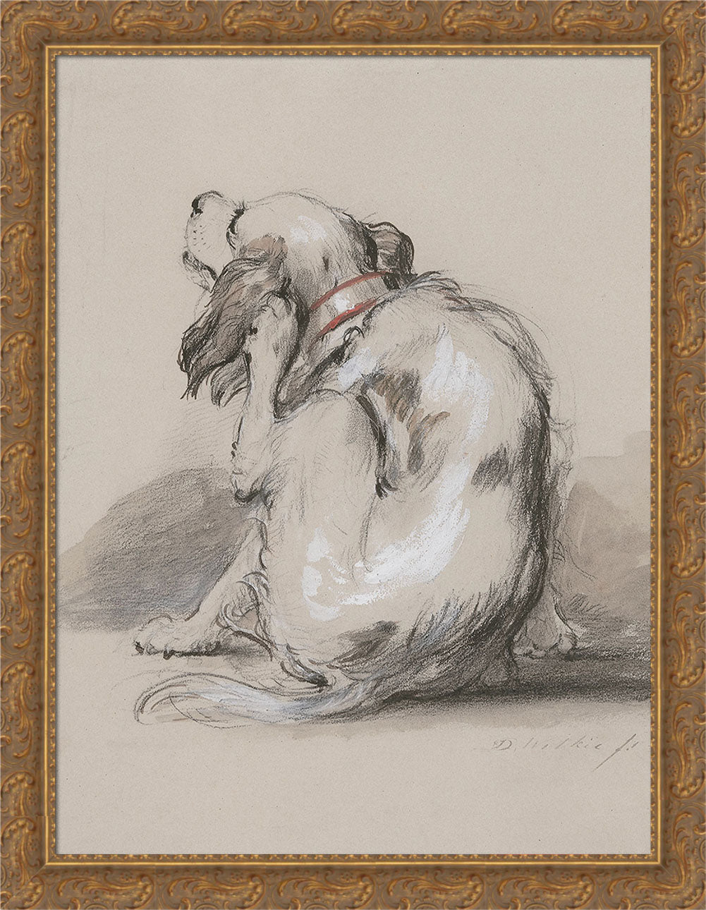 King Charles Spaniel | Paper