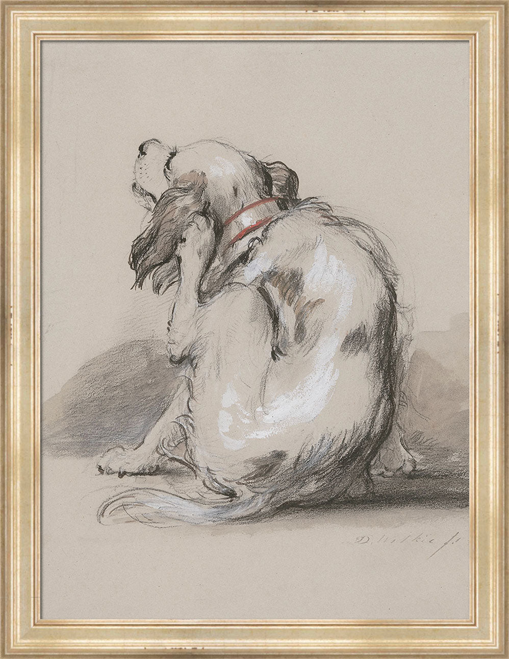 King Charles Spaniel | Paper