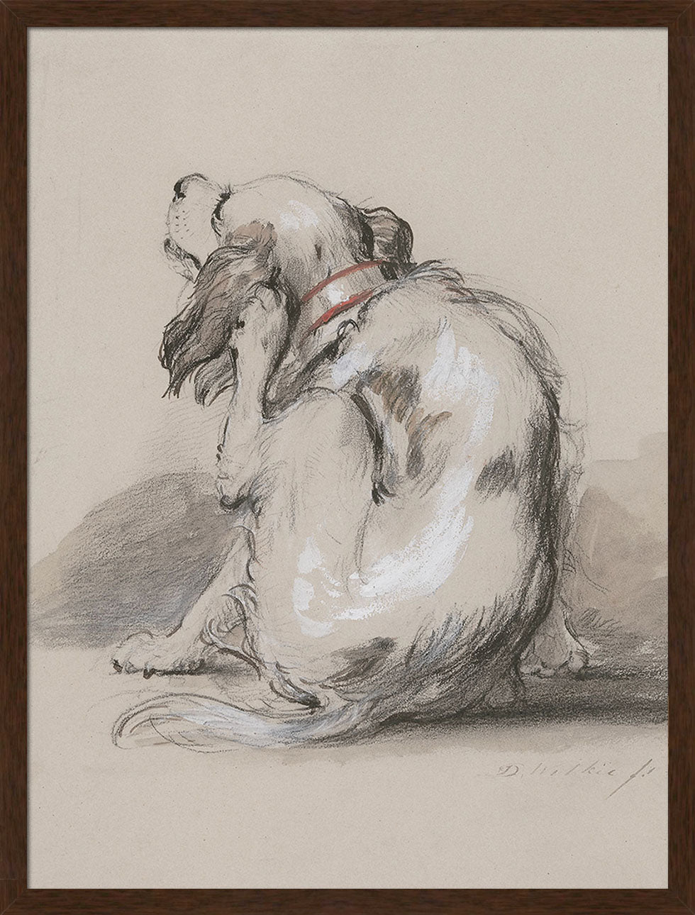 King Charles Spaniel | Paper