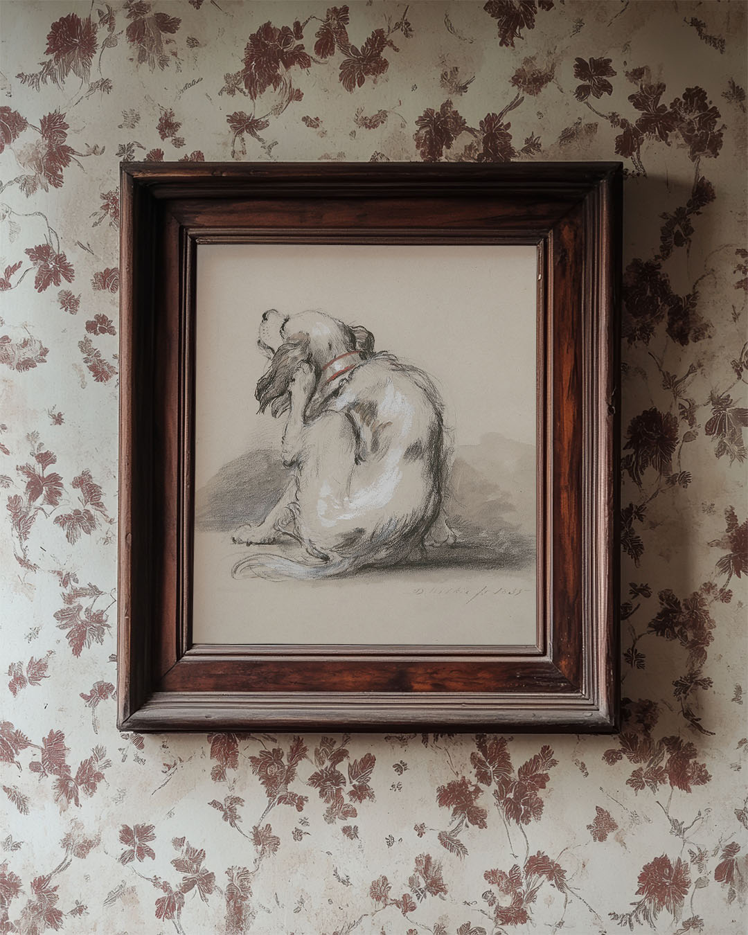 King Charles Spaniel | Paper