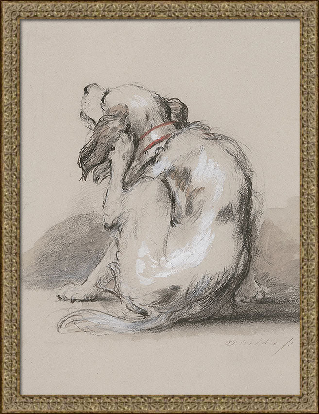 King Charles Spaniel | Paper