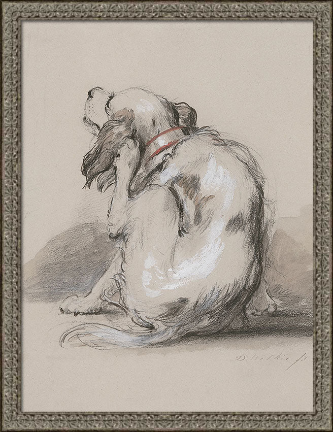 King Charles Spaniel | Paper