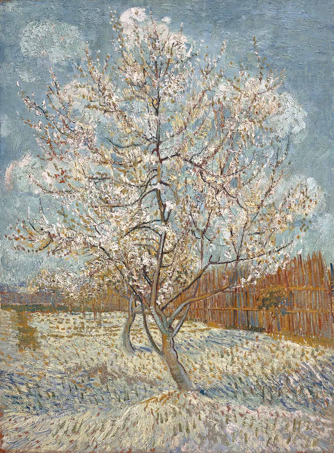 The Pink Peach Tree | Paper