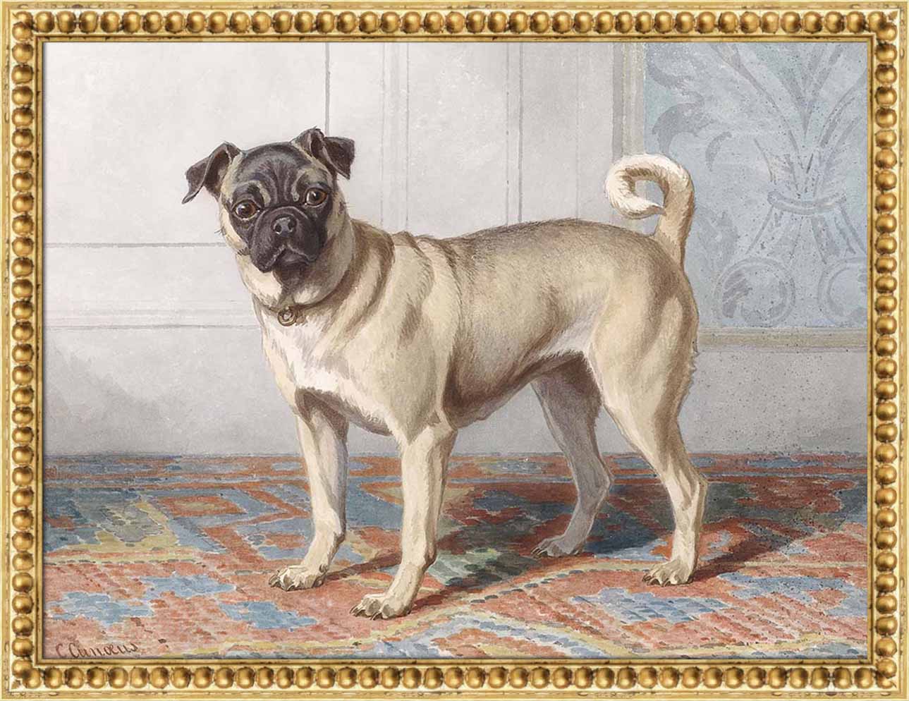 Portrait of the Pug | Paper