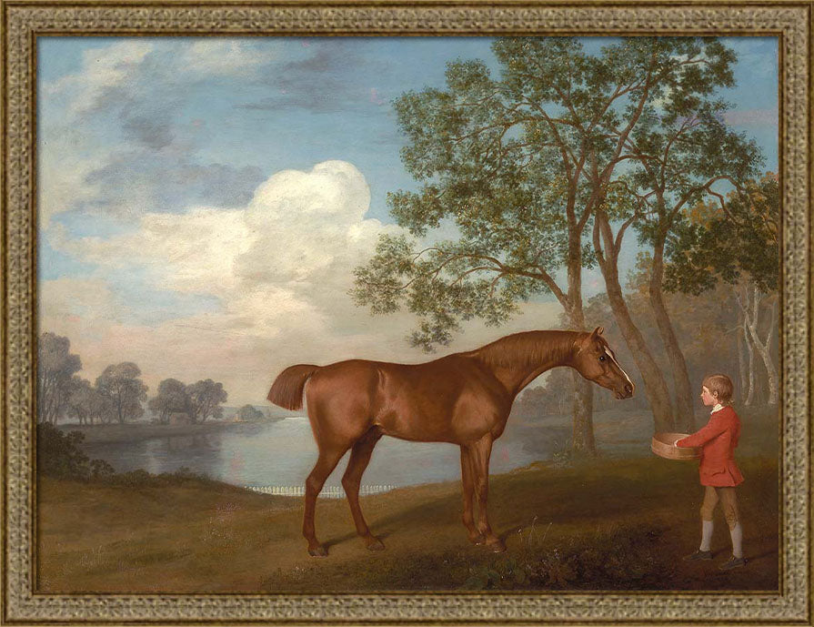 Pumpkin with a Stable Lad | Paper