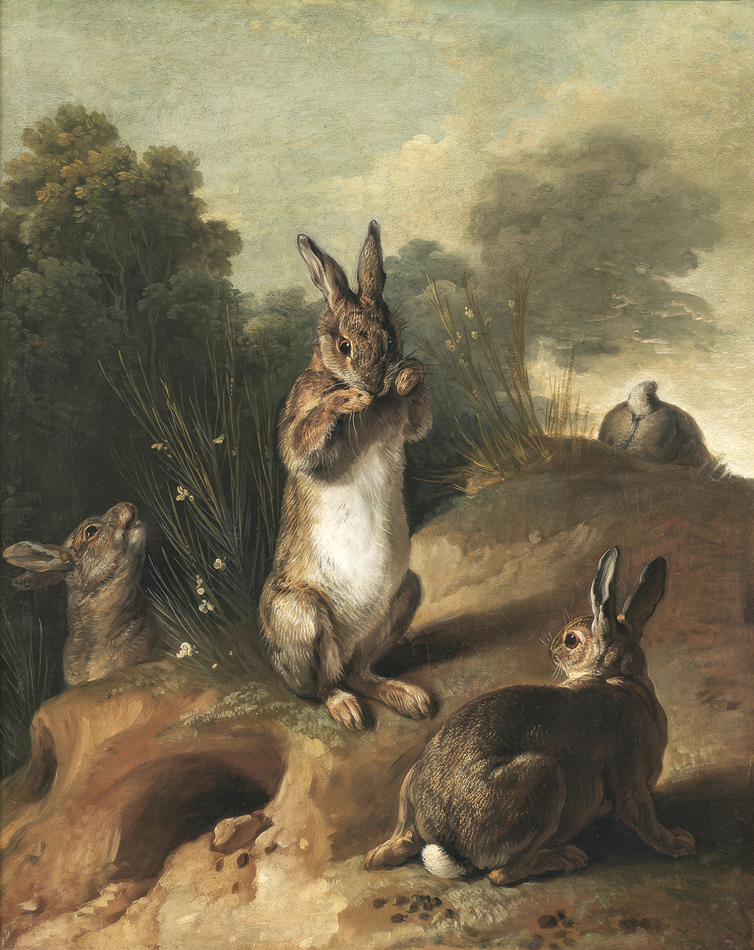 Rabbits | Paper