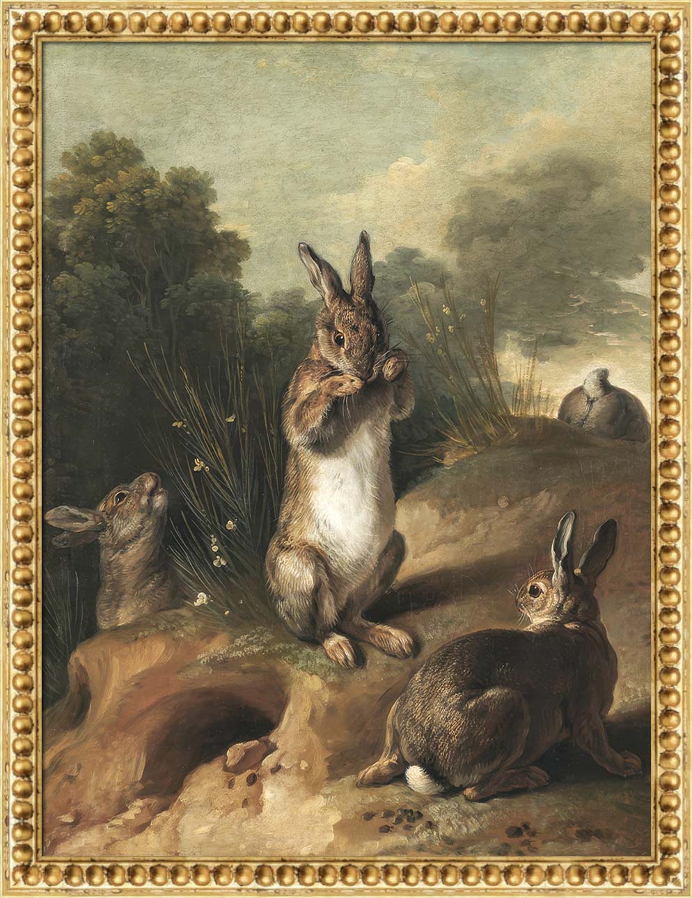 Rabbits | Paper