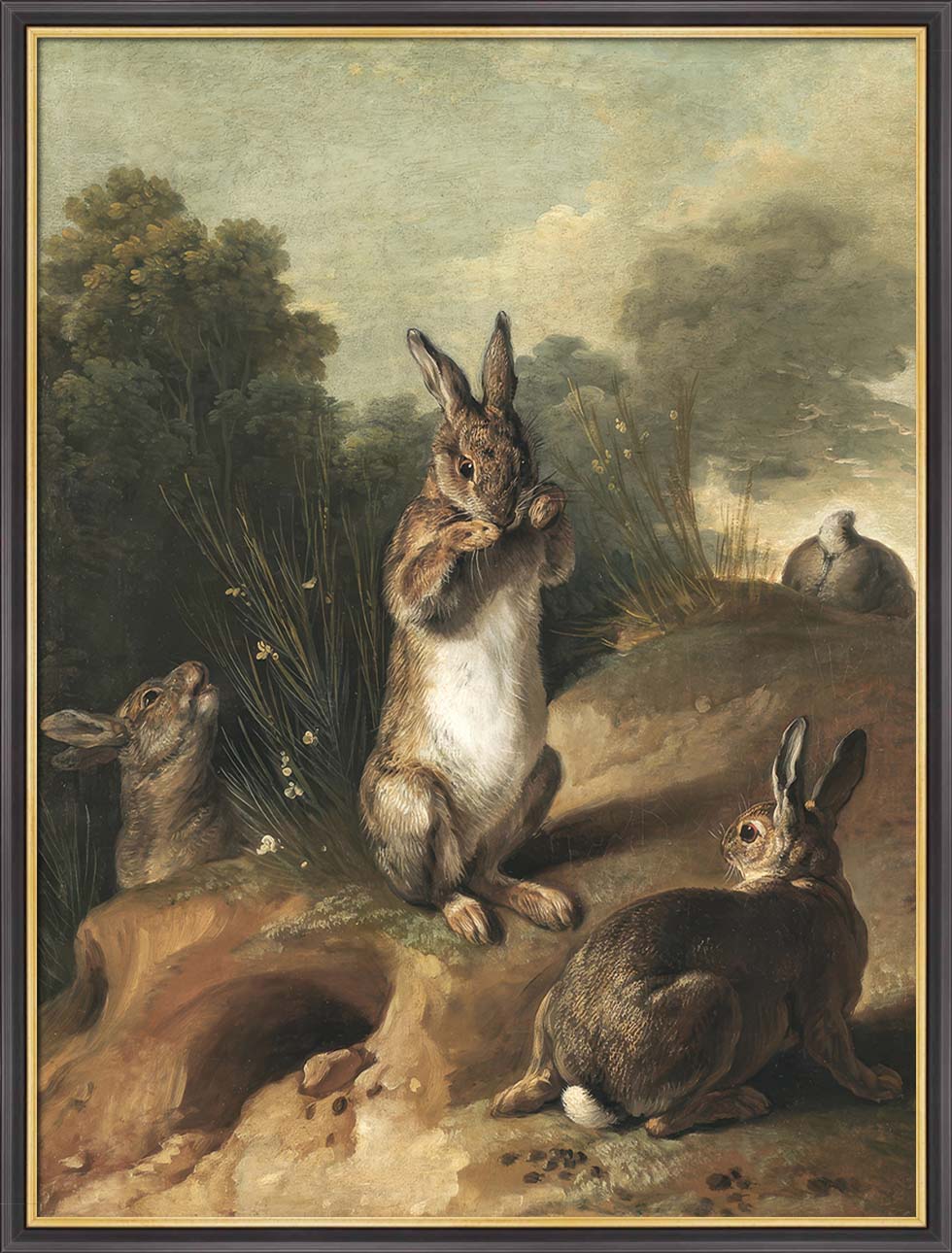 Rabbits | Paper