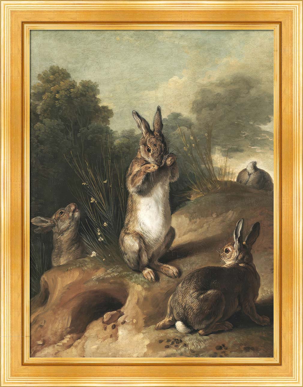 Rabbits | Paper