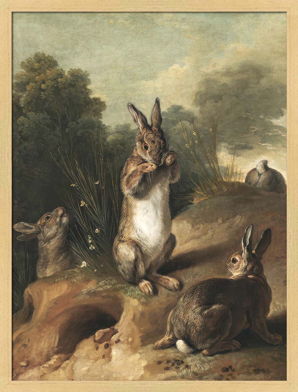 Rabbits | Paper