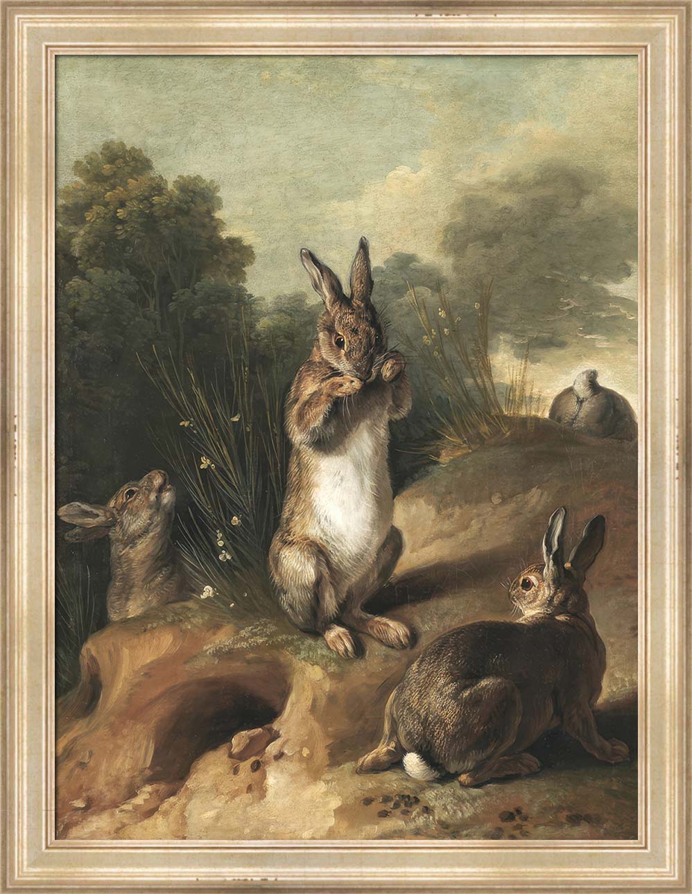 Rabbits | Paper