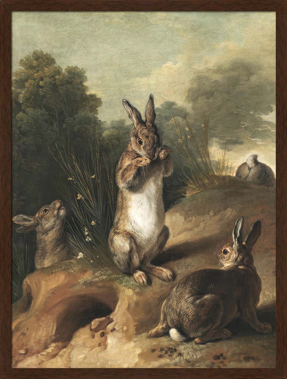 Rabbits | Paper