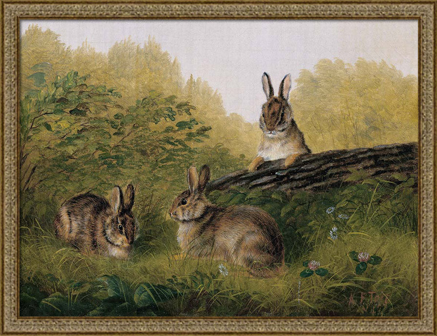 Rabbits on a Log | Paper
