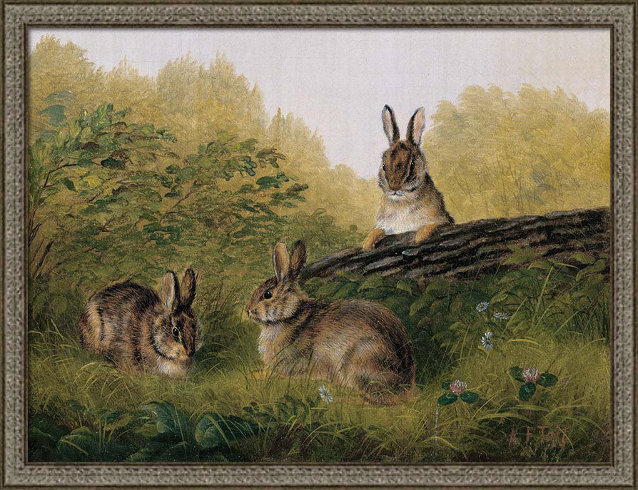 Rabbits on a Log | Paper