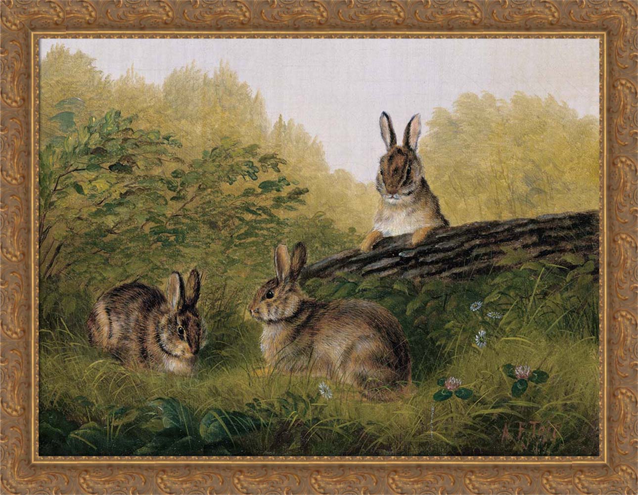 Rabbits on a Log | Paper