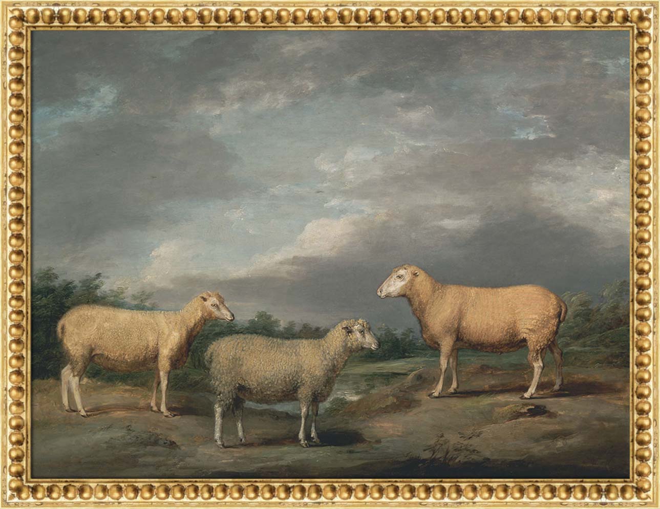 Ryelands Sheep | Paper
