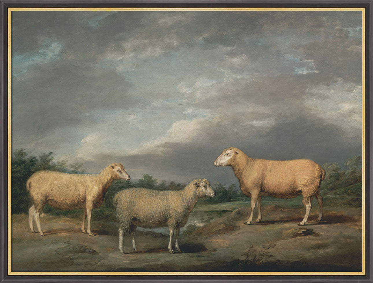 Ryelands Sheep | Paper