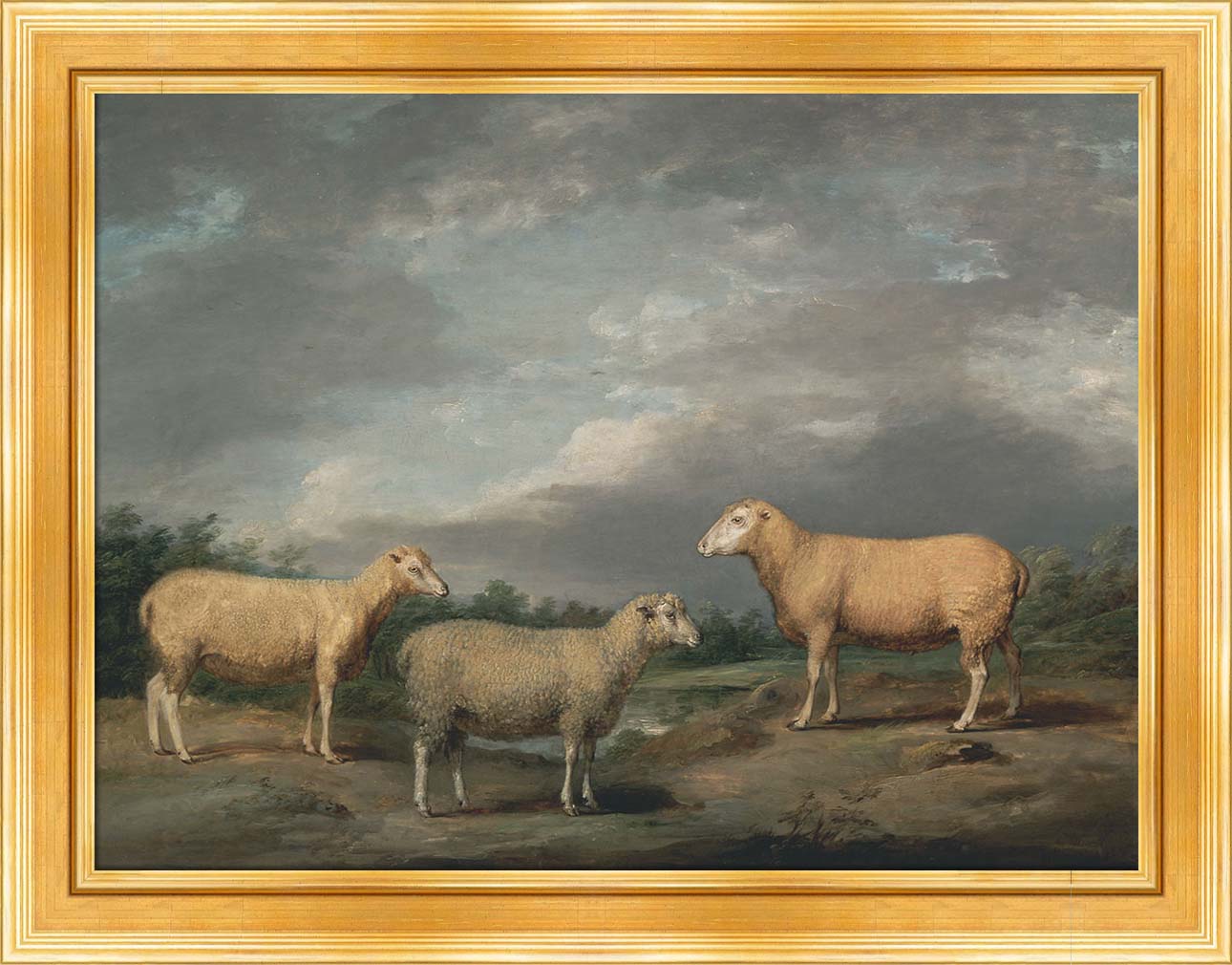 Ryelands Sheep | Paper