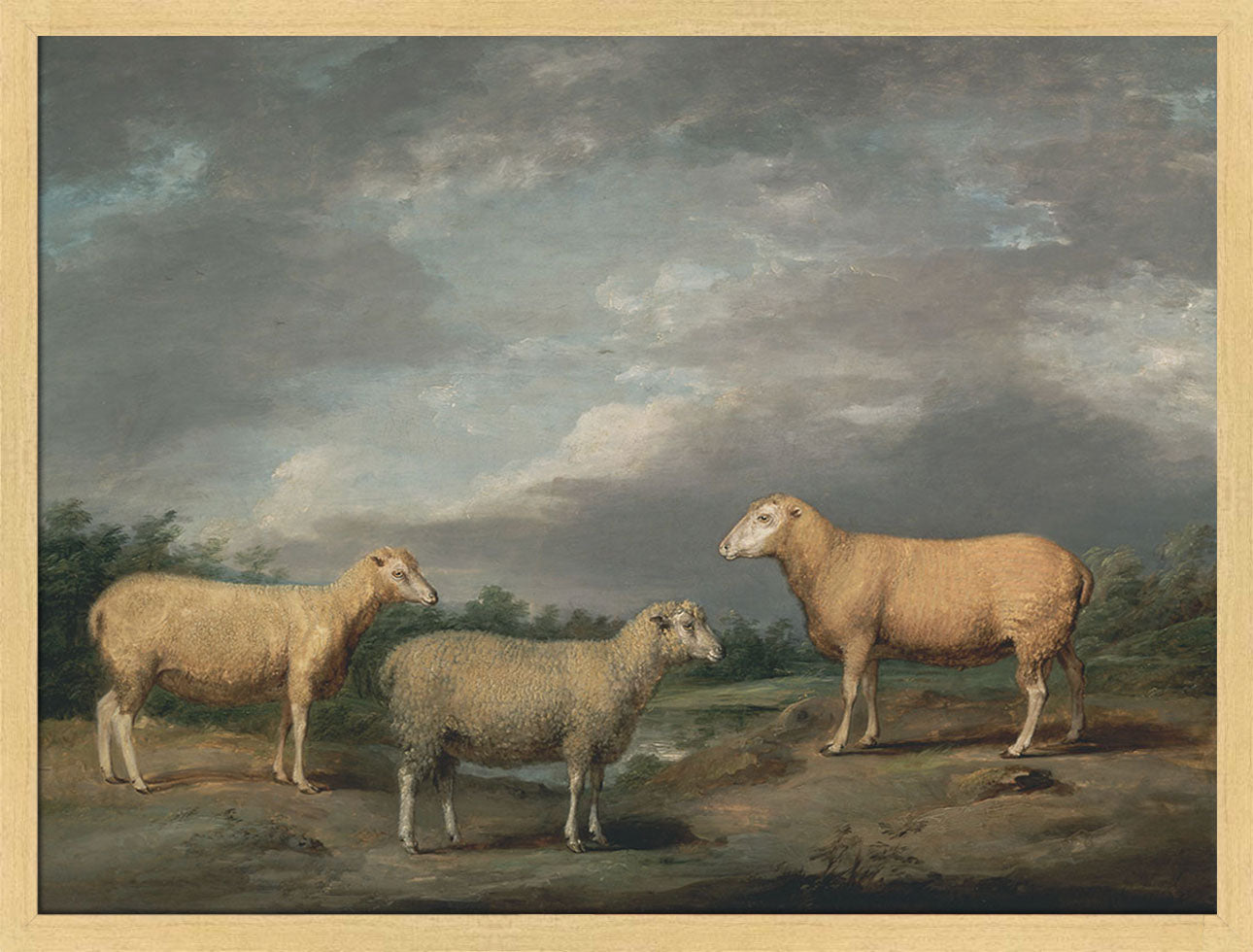 Ryelands Sheep | Paper