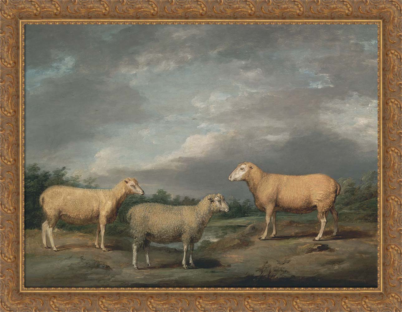 Ryelands Sheep | Paper