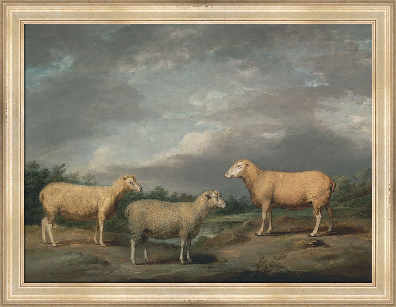 Ryelands Sheep | Paper